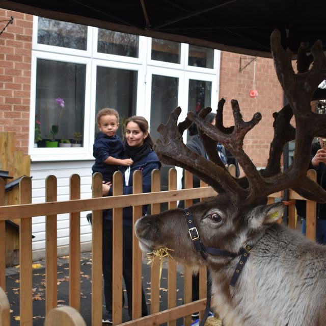 Child and practitioner meeting a reindeer at the nursery