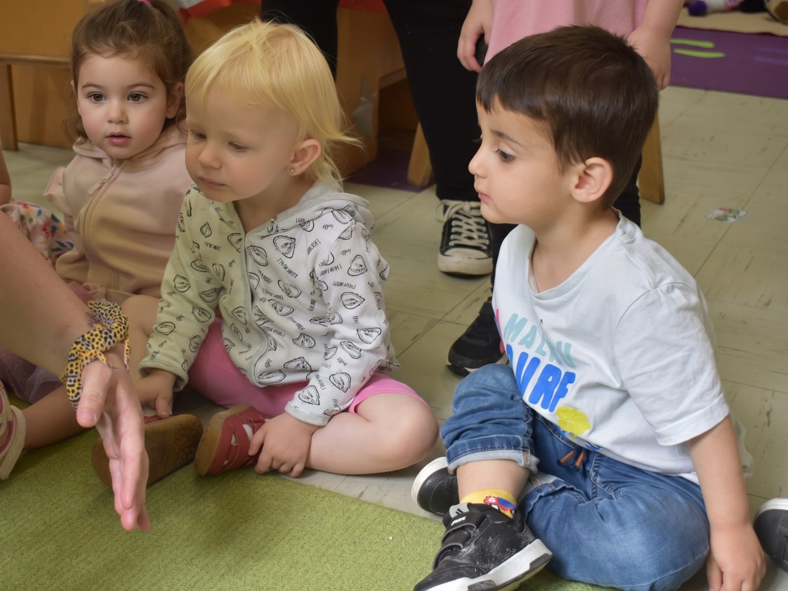 Toddlers watching a gecko during a nursery activity